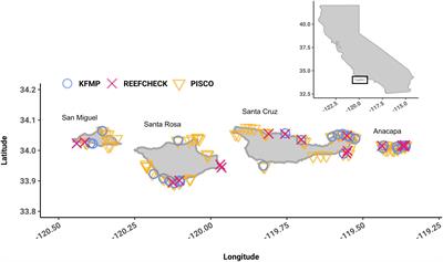 Measuring the Efficiency of Alternative Biodiversity Monitoring Sampling Strategies